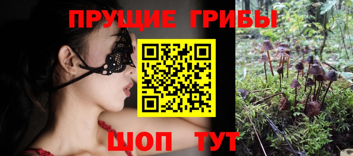 что такое   Вход с VPN  Междуреченск  Псилоцибиновые грибы GOLDEN TEACHER 