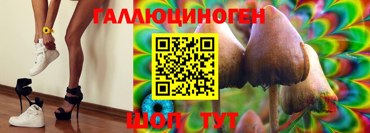 Псилоцибиновые грибы мухоморы Междуреченск